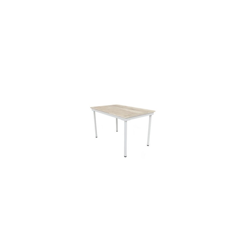 MESA RECTA 120