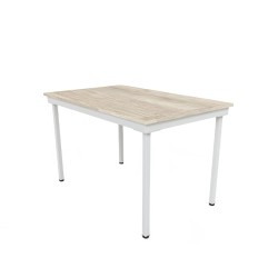 MESA RECTA 120
